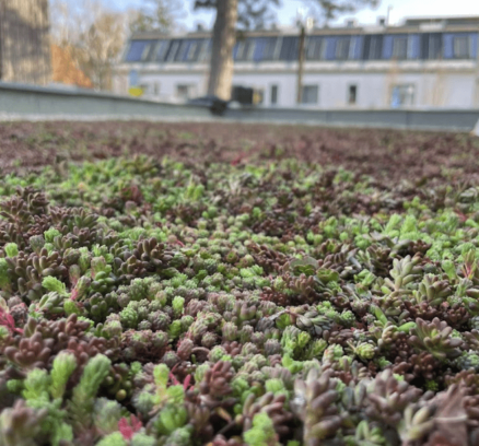 Screenshot 2025-03-05 at 21.17.17