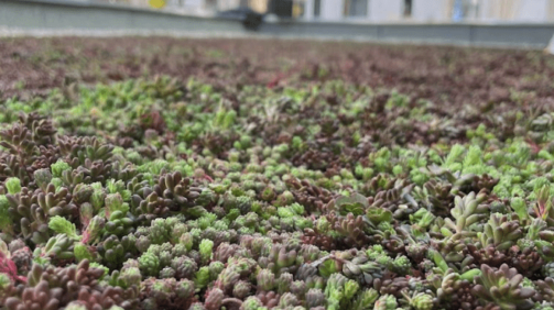 Screenshot 2025-03-05 at 21.17.17