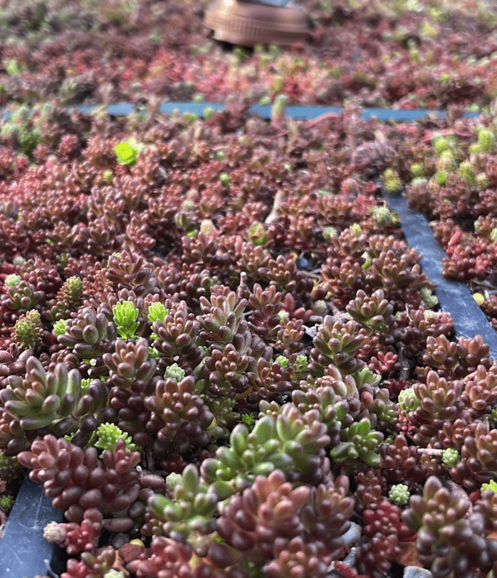 Screenshot 2025-04-14 at 21.03.26